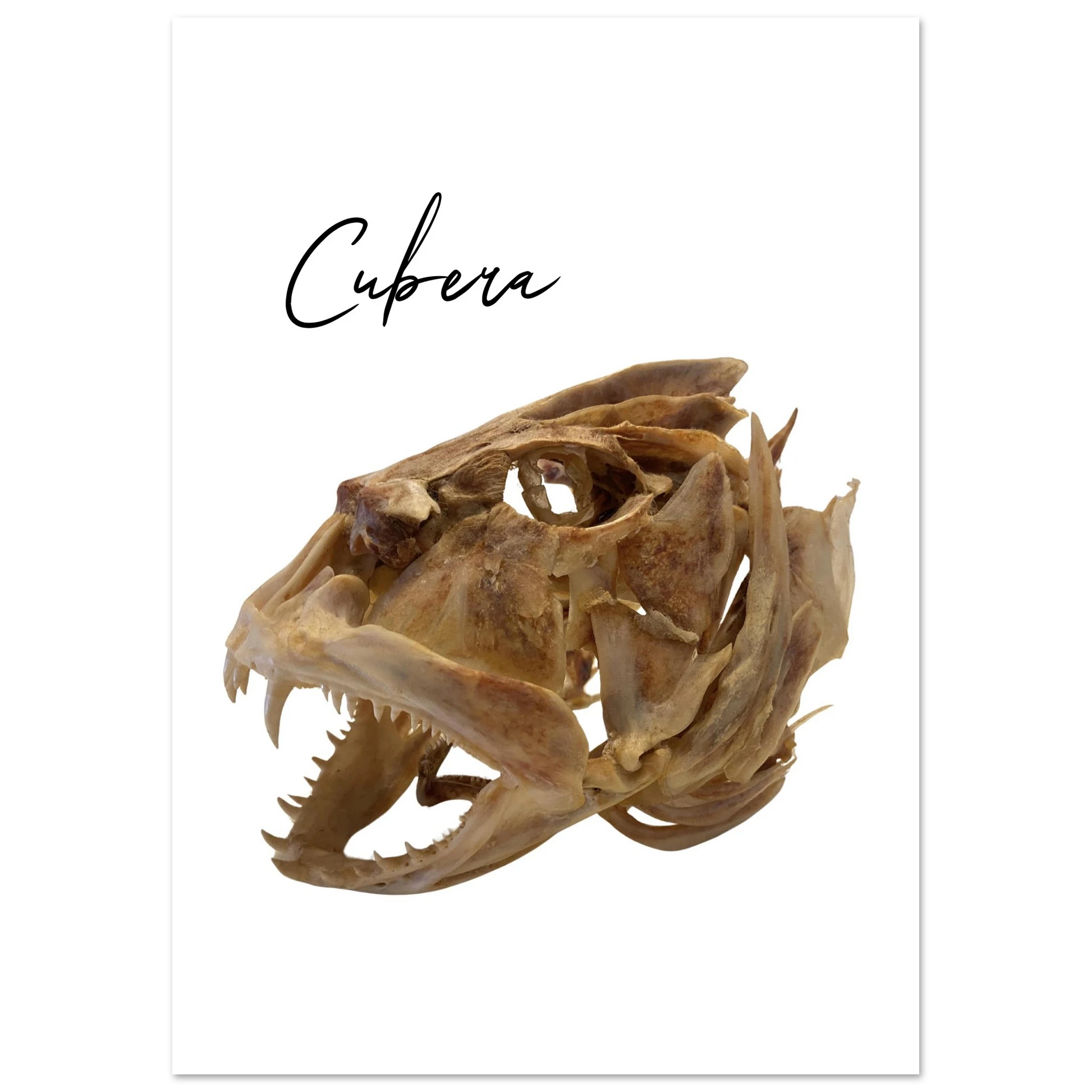 1e5eead8-3294-402c-b265-c6434f5623cc