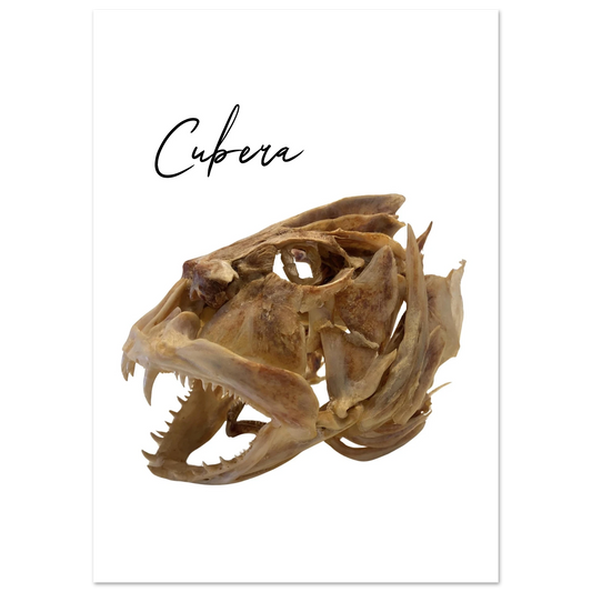 1e5eead8-3294-402c-b265-c6434f5623cc