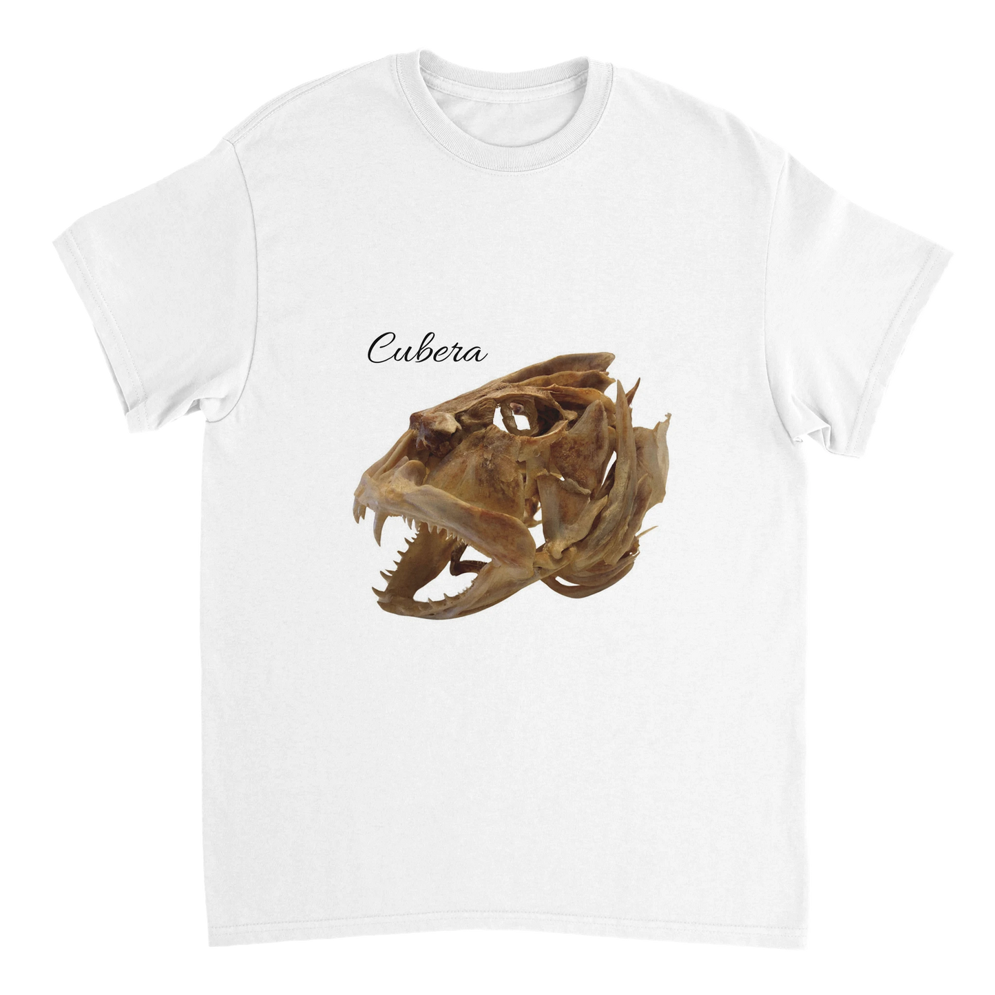 e75eb355-83a7-4caa-a56f-4382f677dbc6